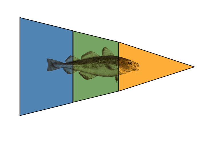 Image of a fish transposed over a triangle.