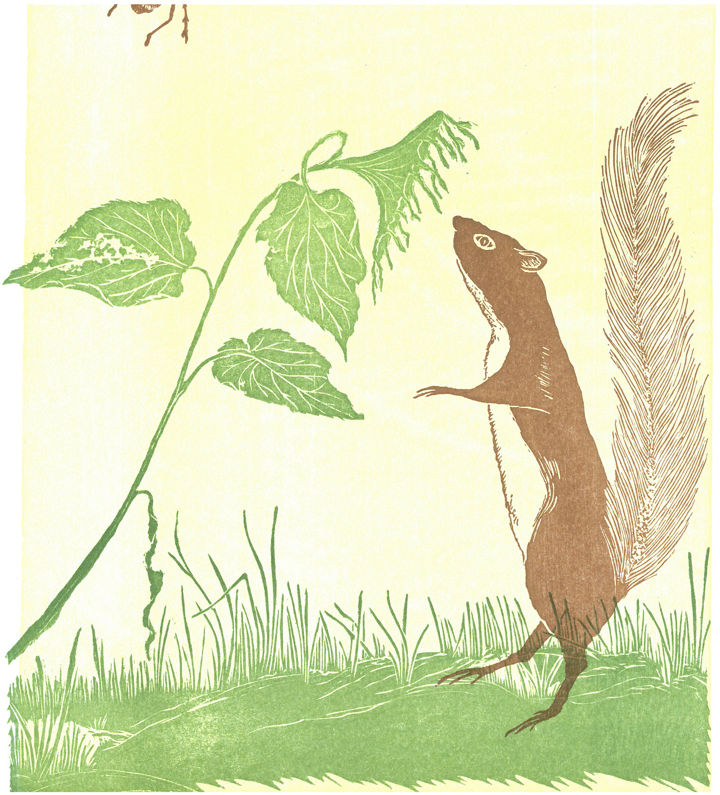 An illustrated print with a pale yellow background, soft grass with two skinny leaves, and a brown squirrel standing on his hind paws on the right side of the image.