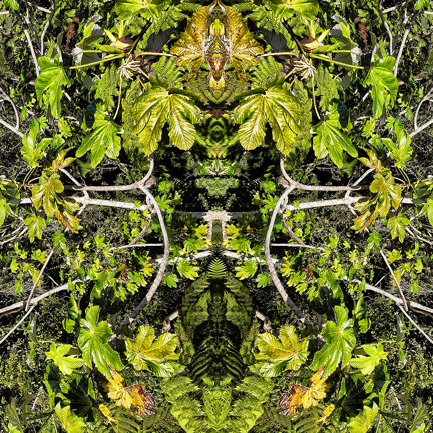 Image is a photo collage of bright green leaves and branches overlapping in a pattern of nature and symmetry. 